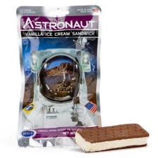 Astronaut Ice Cream Sandwich